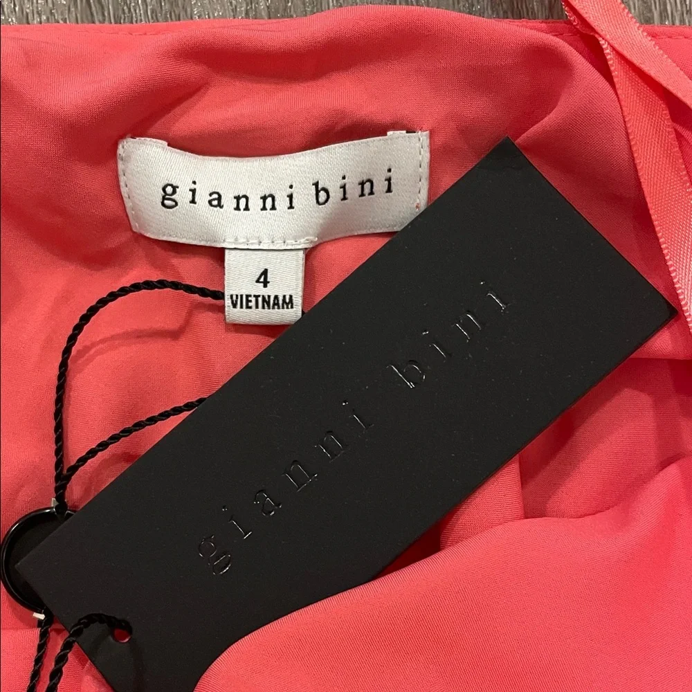 Gianni Bini Mini Dress Sz 4 Rose Pink‎ Ruffle Flowy Chiffon NWT $198